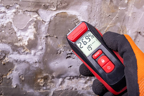 Best Residential Mold Removal  in Woodbine, IA
